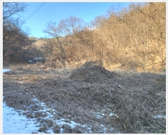  2025Ÿ��5058 ��� ��õ�� ȣ���� ��� 336      ����(��1)���