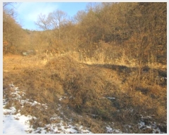  2025Ÿ��5058 ��� ��õ�� ȣ���� ��� 336      ����(��1)���