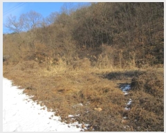  2025Ÿ��5058 ��� ��õ�� ȣ���� ��� 336      ����(��1)���