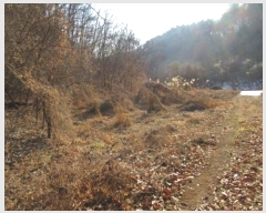  2025Ÿ��5058 ��� ��õ�� ȣ���� ��� 336      ����(��1)���