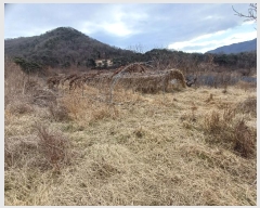  2025Ÿ��5072 ��� ���ֽ� ������ 360-1       ����(��)���