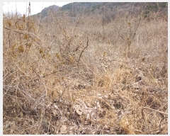  2025Ÿ��5072 ��� ���ֽ� ������ 360-1       ����(��)���