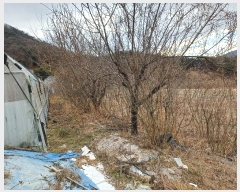  2025Ÿ��5072 ��� ���ֽ� ������ 360-1       ����(��)���