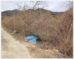  2025Ÿ��5072 ��� ���ֽ� ������ 360-1       ����(��)���