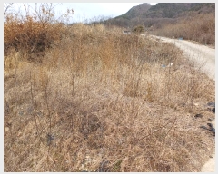  2025Ÿ��5072 ��� ���ֽ� ������ 360-1       ����(��)���