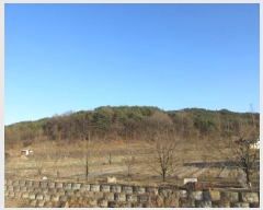  2025Ÿ��5133 ��� ���ֽ� ������ ���̸� ��32-8      ����(�Ӿ�)���