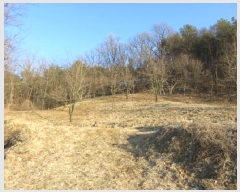  2025Ÿ��5133 ��� ���ֽ� ������ ���̸� ��32-8      ����(�Ӿ�)���