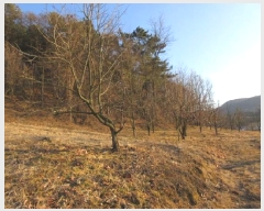  2025Ÿ��5133 ��� ���ֽ� ������ ���̸� ��32-8      ����(�Ӿ�)���