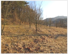  2025Ÿ��5133 ��� ���ֽ� ������ ���̸� ��32-8      ����(�Ӿ�)���