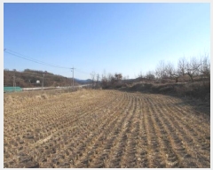  2025Ÿ��5195 ��� ��õ�� ������ ��Ÿ� 672-3      ����(��1)���