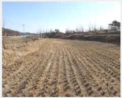  2025Ÿ��5195 ��� ��õ�� ������ ��Ÿ� 672-3      ����(��1)���