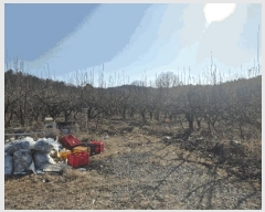  2025Ÿ��5218 ��� ���ֽ� ���˸� ���¸� 59-8      ����(������)���