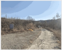  2025Ÿ��5218 ��� ���ֽ� ���˸� ���¸� 59-8      ����(������)���