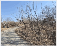  2025Ÿ��5218 ��� ���ֽ� ���˸� ���¸� 59-8      ����(������)���