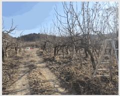  2025Ÿ��5218 ��� ���ֽ� ���˸� ���¸� 59-8      ����(������)���