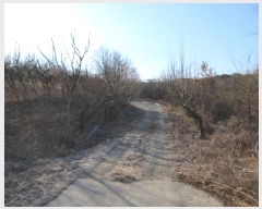  2025Ÿ��5218 ��� ���ֽ� ���˸� ���¸� 59-8      ����(������)���