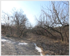  2025Ÿ��5218 ��� ���ֽ� ���˸� ���¸� 59-8      ����(������)���