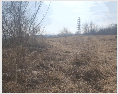  2025Ÿ��5235 ��� ��õ�� ��õ�� ��ɸ� 661      ����(��1)���