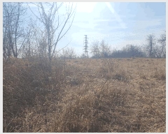  2025Ÿ��5235 ��� ��õ�� ��õ�� ��ɸ� 661      ����(��1)���