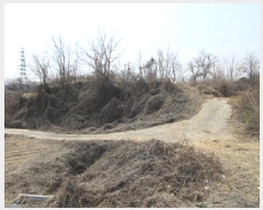  2025Ÿ��5235 ��� ��õ�� ��õ�� ��ɸ� 661      ����(��1)���