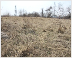  2025Ÿ��5235 ��� ��õ�� ��õ�� ��ɸ� 661      ����(��1)���