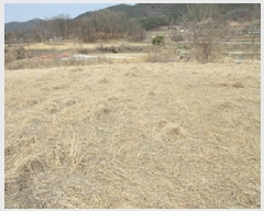  2025Ÿ��5235 ��� ��õ�� ��õ�� ��ɸ� 661      ����(��1)���