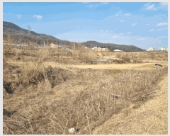  2025Ÿ��5247  �����