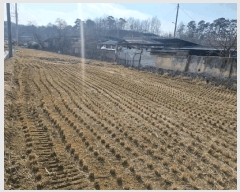  2025Ÿ��5247  �����