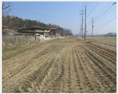  2025Ÿ��5247  �����