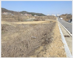  2025Ÿ��5247  �����