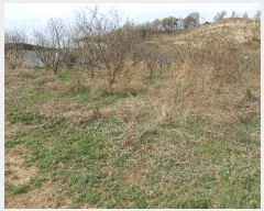  2025Ÿ��5255  �����