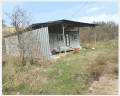  2025Ÿ��5255  �����