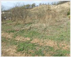  2025Ÿ��5255  �����