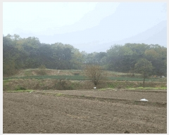  2025Ÿ��5265 ��� ��õ�� ��õ�� ����� 599      ����(��1)���