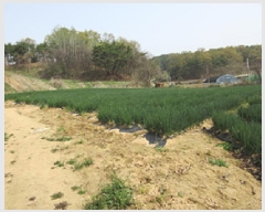  2025Ÿ��5265 ��� ��õ�� ��õ�� ����� 599      ����(��1)���