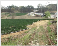  2025Ÿ��5265 ��� ��õ�� ��õ�� ����� 599      ����(��1)���