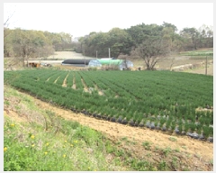  2025Ÿ��5265 ��� ��õ�� ��õ�� ����� 599      ����(��1)���