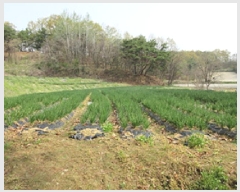  2025Ÿ��5265 ��� ��õ�� ��õ�� ����� 599      ����(��1)���