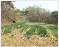  2025Ÿ��5265 ��� ��õ�� ��õ�� ����� 599      ����(��1)���