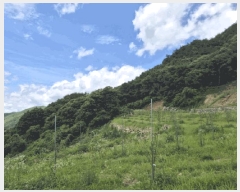  2025Ÿ��5269  �Ӿ߰��