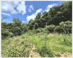  2025Ÿ��5269  �Ӿ߰��