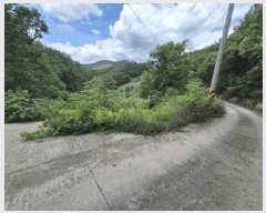  2025Ÿ��5269  �Ӿ߰��