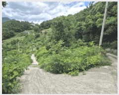  2025Ÿ��5269  �Ӿ߰��