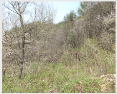  2025Ÿ��5269  �Ӿ߰��