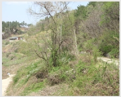  2025Ÿ��5269  �Ӿ߰��