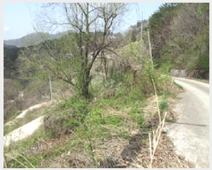  2025Ÿ��5269  �Ӿ߰��