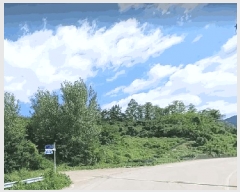  2025Ÿ��5273 ��� ����� ������ �ܾ ��125-1      ����(�Ӿ�)���