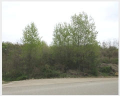  2025Ÿ��5273 ��� ����� ������ �ܾ ��125-1      ����(�Ӿ�)���