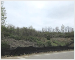  2025Ÿ��5273 ��� ����� ������ �ܾ ��125-1      ����(�Ӿ�)���