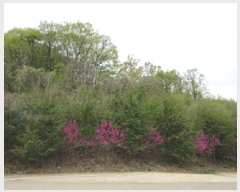  2025Ÿ��5273 ��� ����� ������ �ܾ ��125-1      ����(�Ӿ�)���